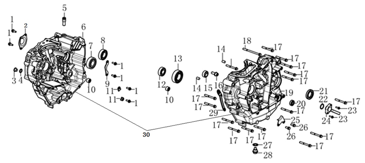 Motor Bloğu Sağ-Sol (Voge 250 RR)