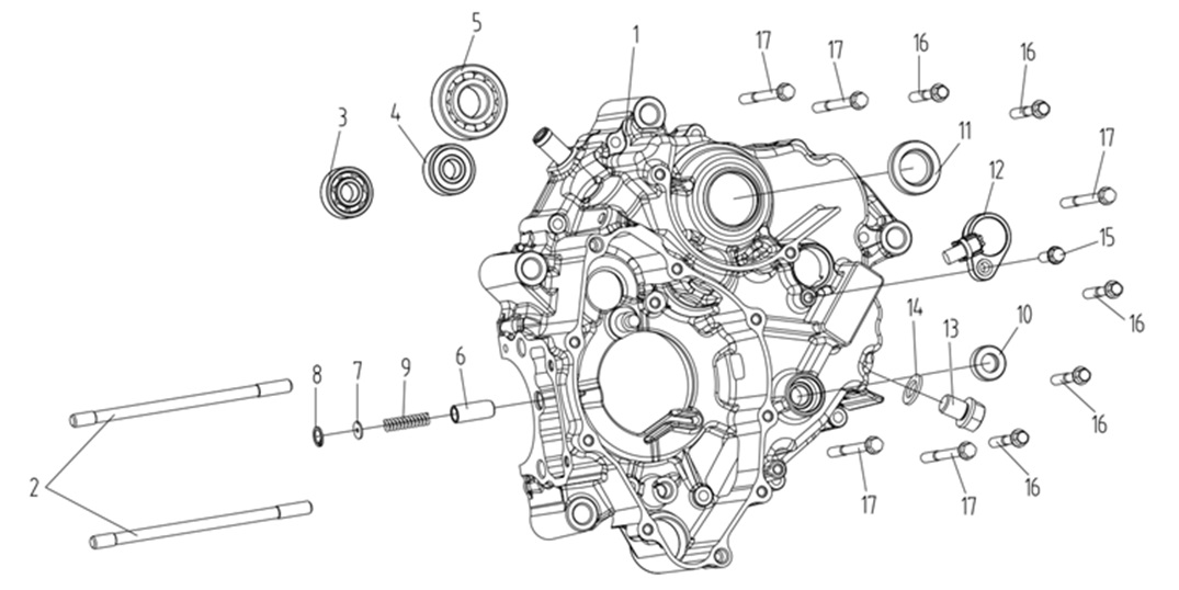 Motor Bloğu Sol (Voge R125)