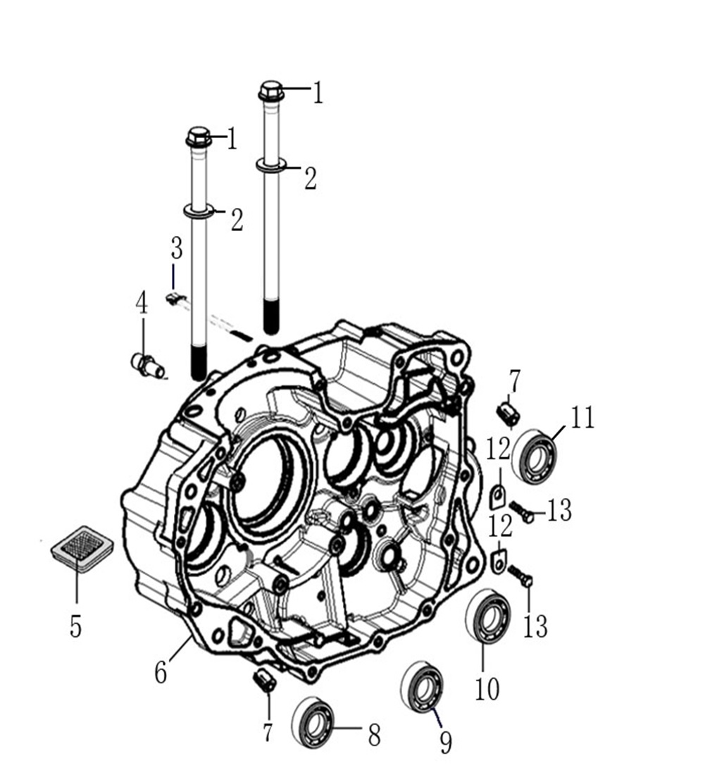 Motor Bloğu Sağ (Gp-1 Taro 250R) - Yuki GP1 Taro 250CC