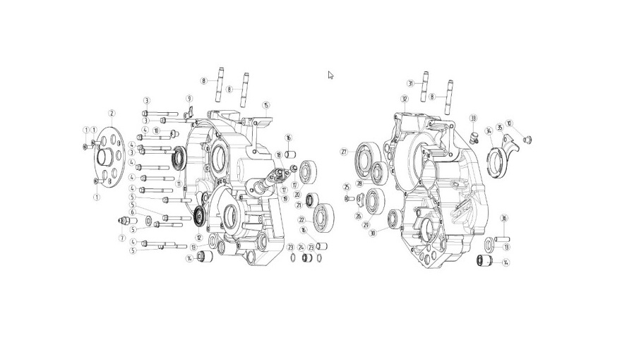 Motor Bloğu Sağ (Dirty Paws 250 2T)