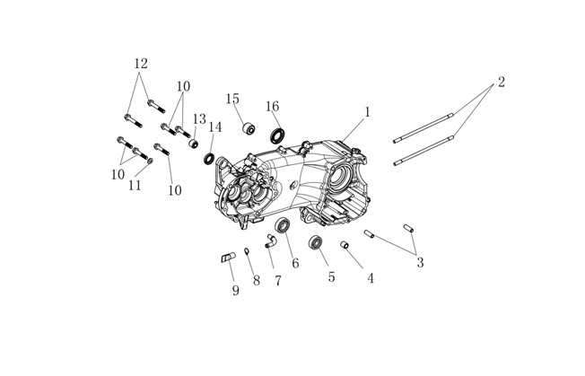 Motor Bloğu Sol (Vampıre 125 - X Way)